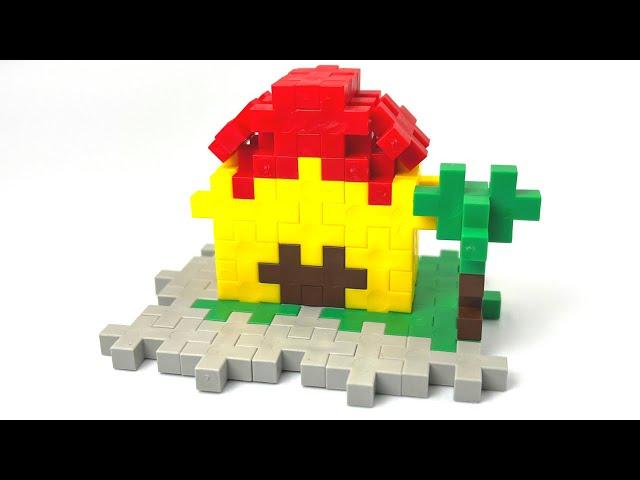 House Plus-Plus Micro Build Instructions