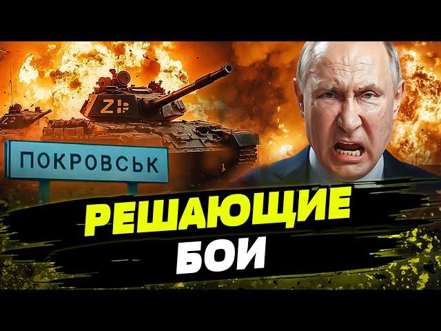  СРОЧНО! Россияне ПРОДАВЛИВАЮТ ОБОРОНУ ПОКРОВСКА! В РФ БАХКАЕТ И ПОЛЫХАЕТ! Удары В ЯБЛОЧКО!