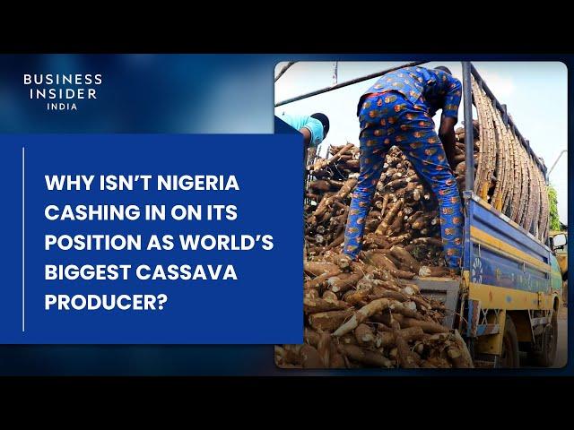 Nigeria Is The Biggest Cassava Producer In The World. Why Isn’t It Cashing In On The Global Market?