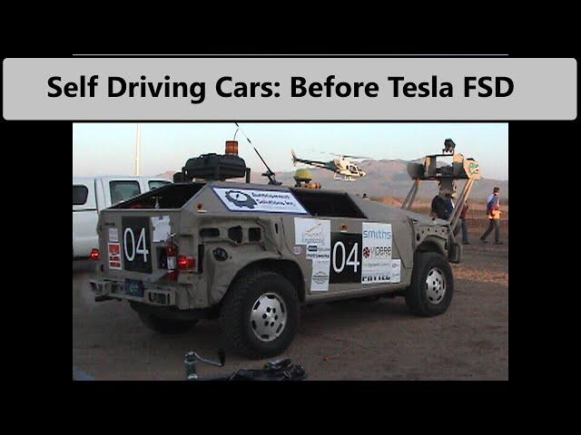 A Unique Perspective on Tesla FSD