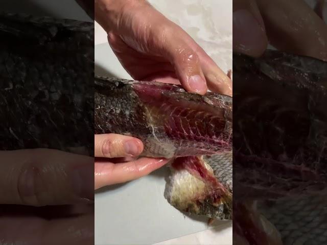 Вяленый Жерех сухого посола, подписывайтесь на телеграм канал, FishShopChelny