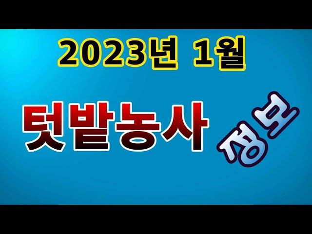 [텃밭농부.894]  2023년 1월 텃밭농사정보 #텃밭농사 #1월