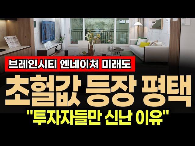 🟥🟥"분양가 괜찮네요…그런데.." 평택 브레인시티 엔네이처 미래도