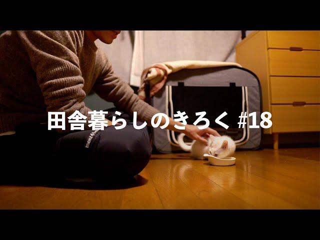 【#田舎暮らしのきろく ⑱】冬野菜収穫/初めての不作/白い子猫を家族に/鍋で暖まる冬