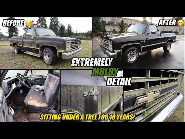 1986 CHEVY SILVERADO C-10 | GETS A RESURRECTION DETAIL AFTER SITTING FOR 10 YEARS! | AMAZING RESULTS