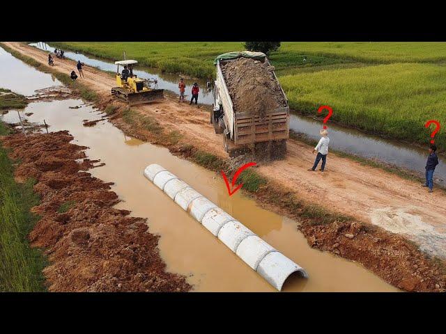 Incredible new PROJECT started! 8-T dump trucks & D31 dozer organize DRAINAGE system professionally