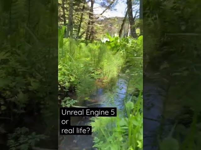 Unreal Engine 5 or real life? Is it nature or Nanite!?