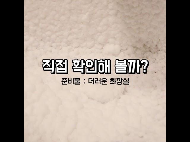 자취생을 위한 초초편리한 화장실 청소템
