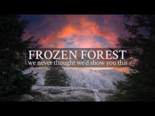 frozen forest-we never thought we'd show you this | winter hiking video | the windy burrow Canon M50