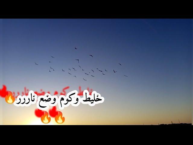 كنت رح اصيد 3️اول يوم ادز لفراخ موعد 