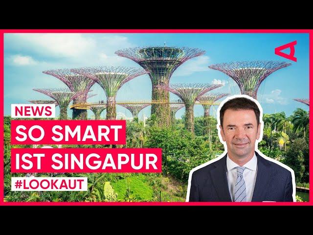 Smart City Singapur: Stadtstaat zwischen Innovation und Nachhaltigkeit | LOOKAUT