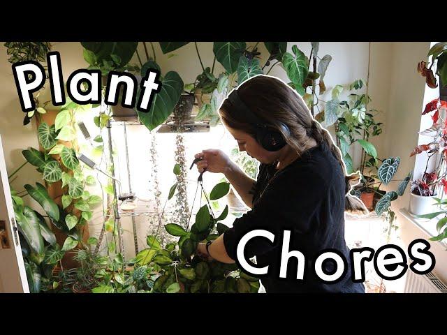 Overdue Plant Chores | Watering, Pruning, Fertilising, Treating