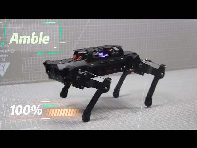 Quadruped Robot Amble Hiwonder PuppyPi