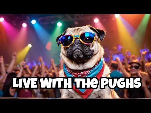 Pughs On Tour Live Stream