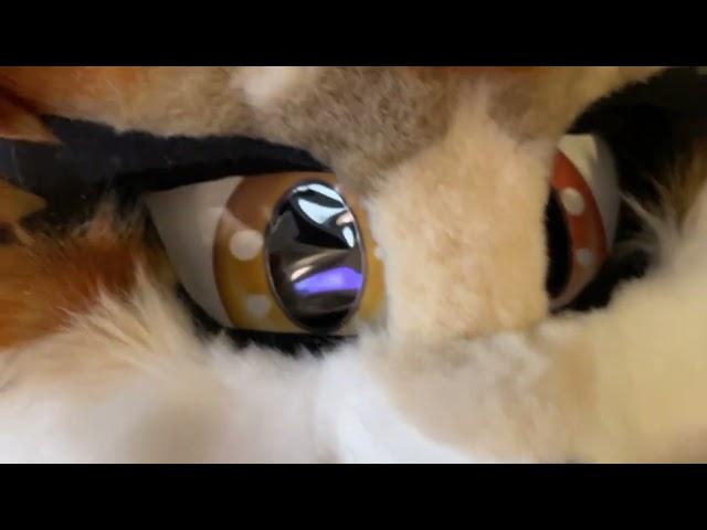 unboxing  "Autumn Fox" fursuit head and tail made by itz Shalom