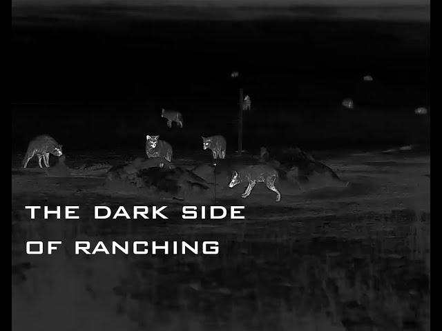 Ranchers use Thermal to hunt Coyotes