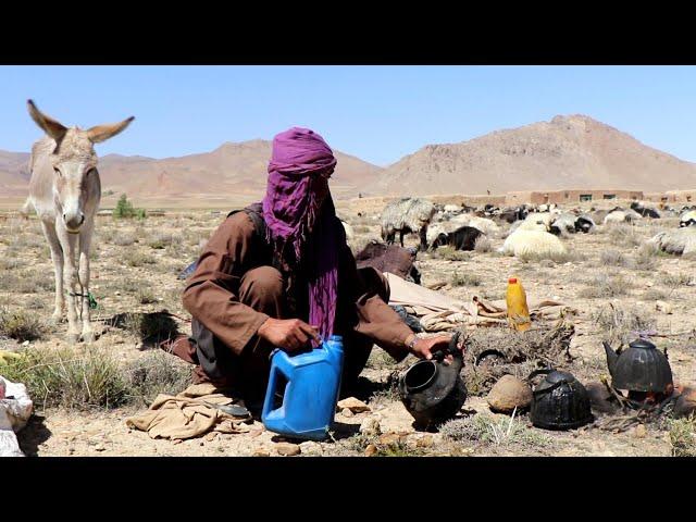 Life of Afghan Nomads | کوچی ها در ولسوالی ناهور