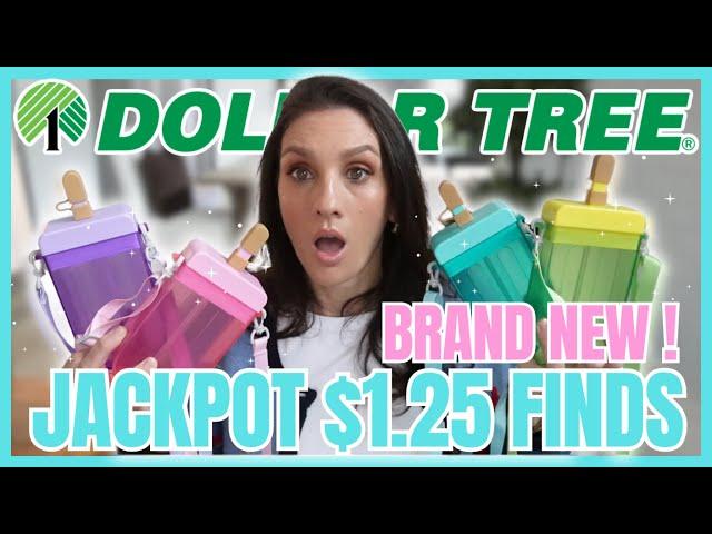 22 ITEMS for $27.50 *DOLLAR TREE HAUL* I have been praying to find these | ICE CREAM CANTEENS!