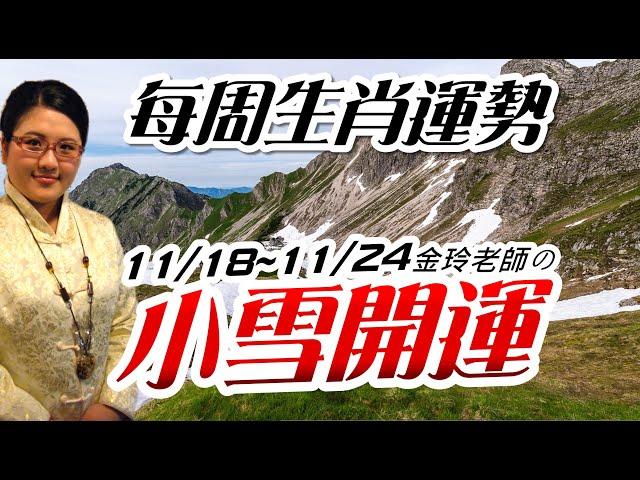 小雪開運｜2024生肖運勢週報｜11/18-11/24｜金玲老師（有字幕）