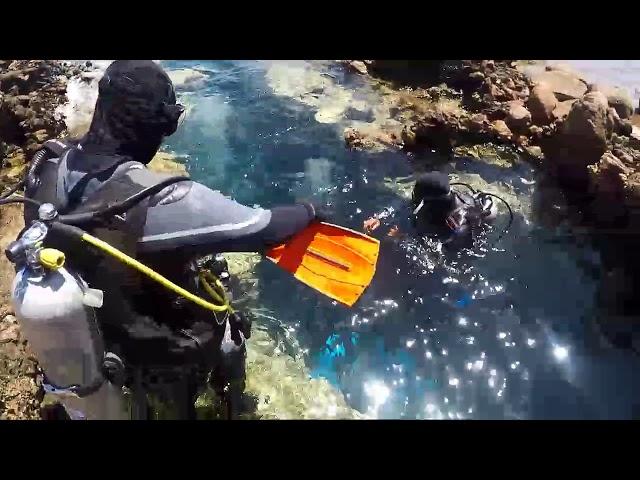 Private Excursion 1 to 1 Dahab with Pyramids Diving Center - Dive as a VIP