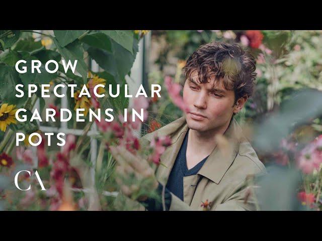 Grow Flamboyant Flowers in Containers with Arthur Parkinson