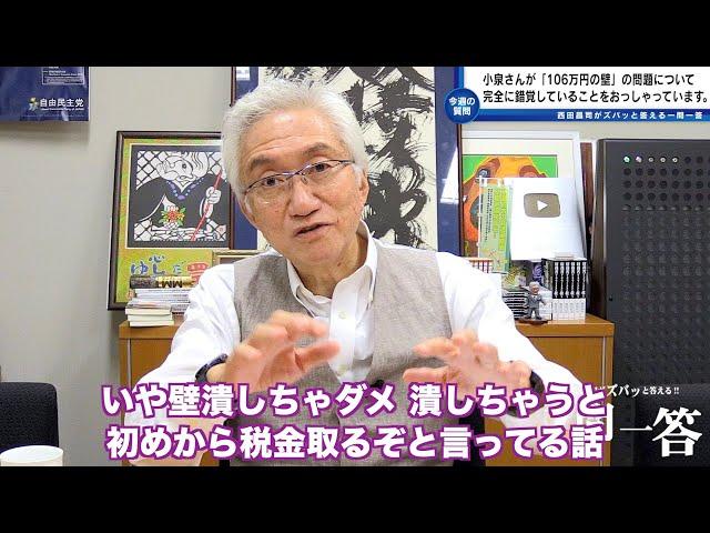 「総裁選における小泉さんの発言にびっくりしてしまいました。「106万円の壁」の問題について完全に誤解、錯覚しているとしか思えないのですが？」西田昌司がズバッと答える一問一答おまけ【週刊西田】