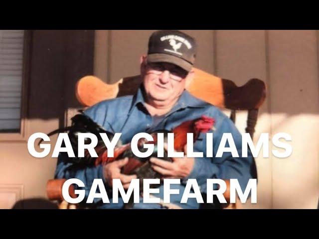 ️GARY GILLIAM- GAMEFARM  ️