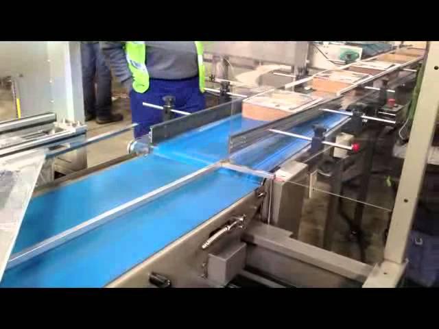 Telephone Book Side Seal Packing Machine APSS 5022