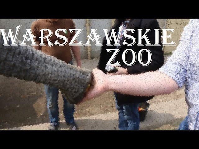 Jeden dzień z życia [1]: WARSZAWSKIE ZOO