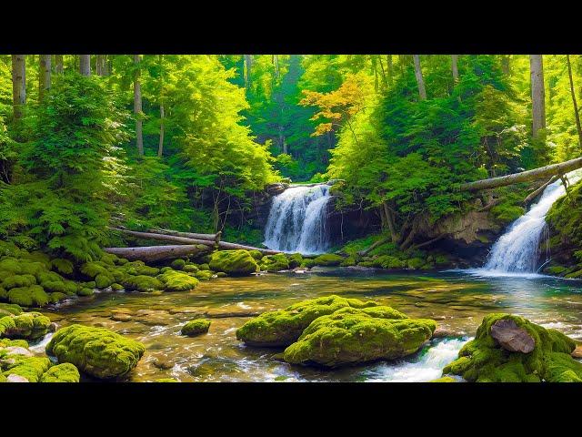 Beautiful Relaxing Music - Stop Overthinking, Stress Relief Music, Sleep Music, Calming Music #508