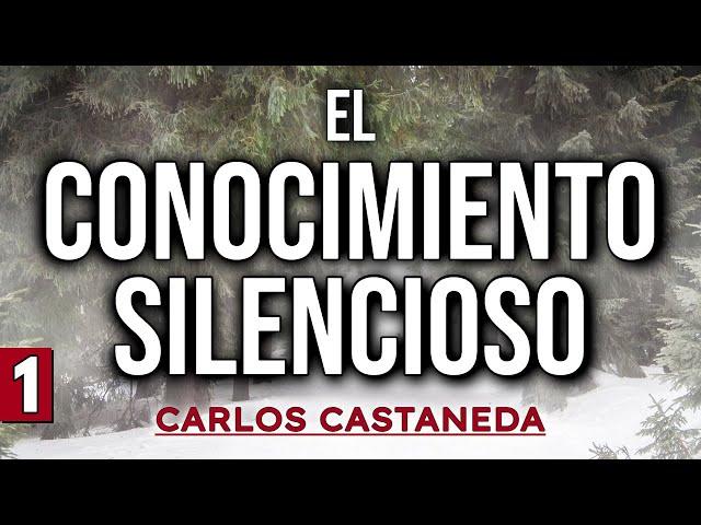 EL CONOCIMIENTO SILENCIOSO | C. Castaneda | Parte 1 | Audiolibro completo | Español, voz humana