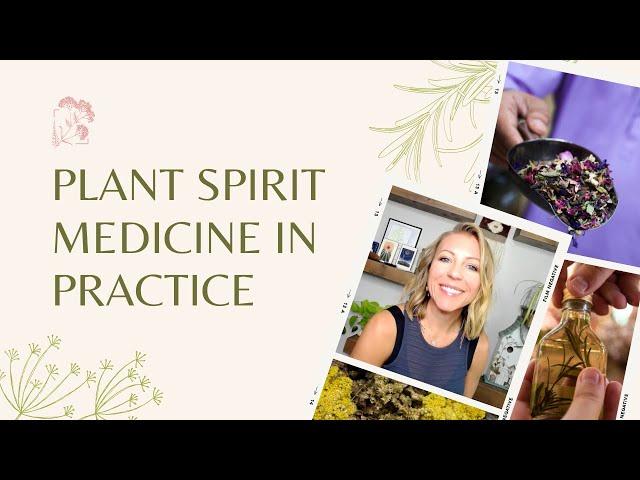 Plant Spirit Medicine In Practice