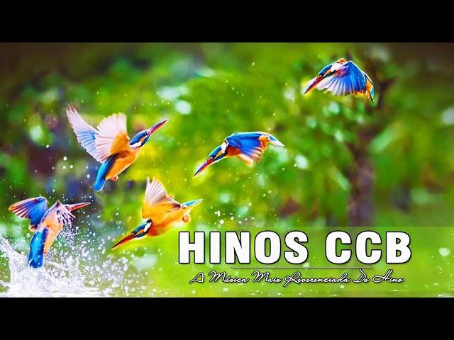 Hino CCB 2020 - Hinos Com O Sinal De Deus - Canções De Adoração