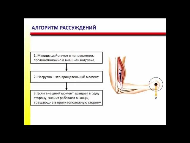 Учимся решать задачи по биомеханике, простой способ определить направление момента силы. #FPA