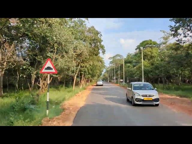 Nallamala Forest | Srisailam Route | Srisailam Highway | Srisailam Ghat Road | Anup Archives