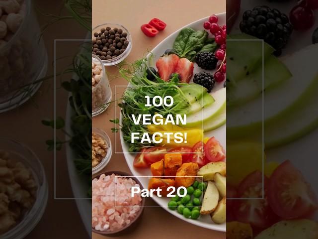 100 Vegan Facts #20/100 #FactOasis - Check the Comments for Vegan Recipes! #plantbased #veganfacts