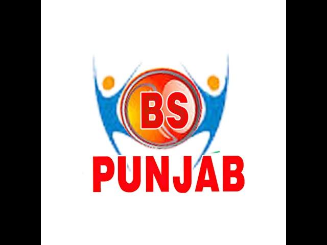 BS PUNJAB Live Stream