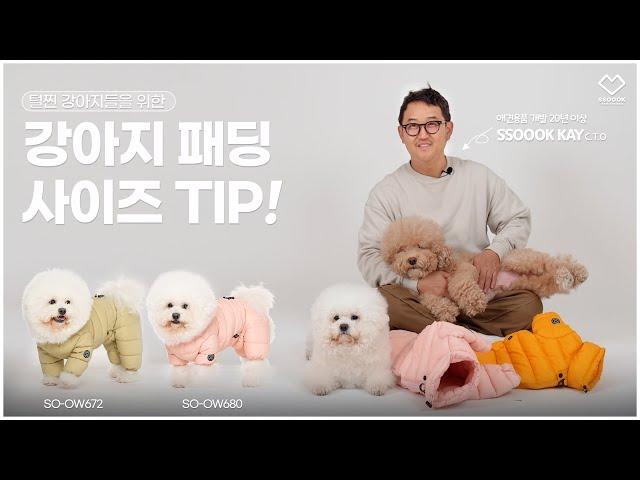 강아지 패딩 사이즈 고르는 TIP! 쏘오옥 애견패딩올인원ㅣ(愛)애견용품교실