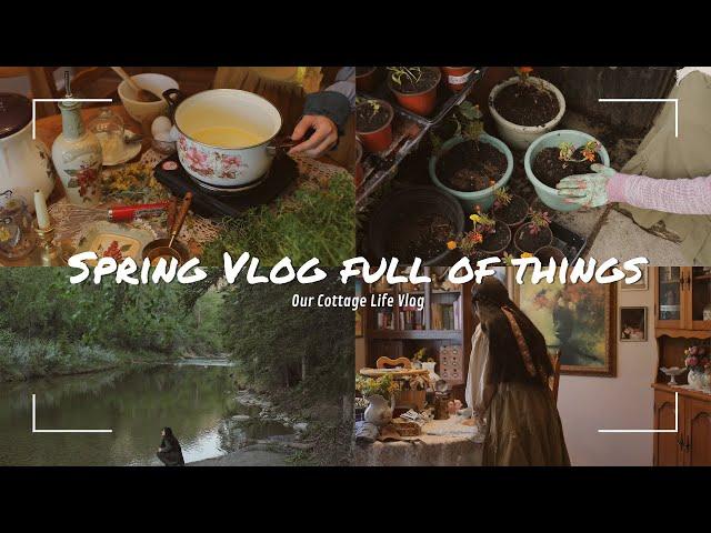 Spring Vlog Full of Things | Cozy and Slow life |  🪴 