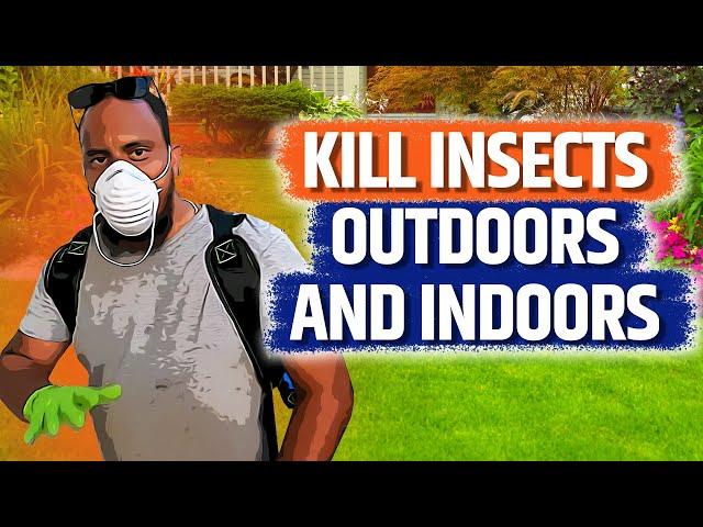 Do it yourself pest control! Indoor and outdoor treatment step by step