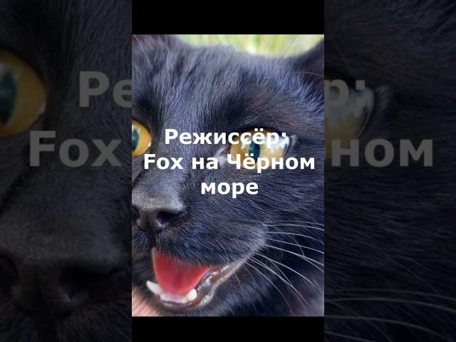 День Чёрного Кота