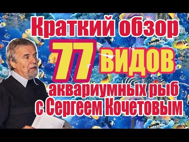 Краткий обзор 77 видов аквариумных рыб с Сергеем Кочетовым