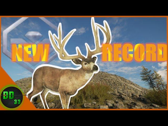 The Biggest Blacktail We've Seen In 3 YEARS! Call Of The Wild