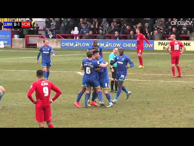 Reeves hits goal of the season contender for AFC Wimbledon