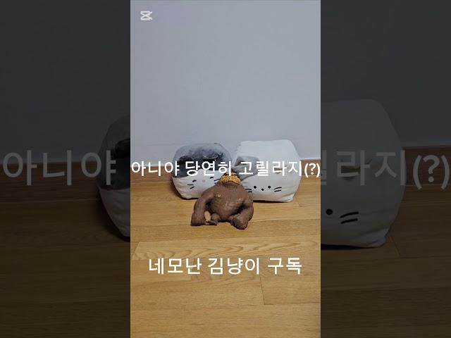 고양이가 제일 좋아하는 간식은? #고양이 #간식 #네모난 김냥이