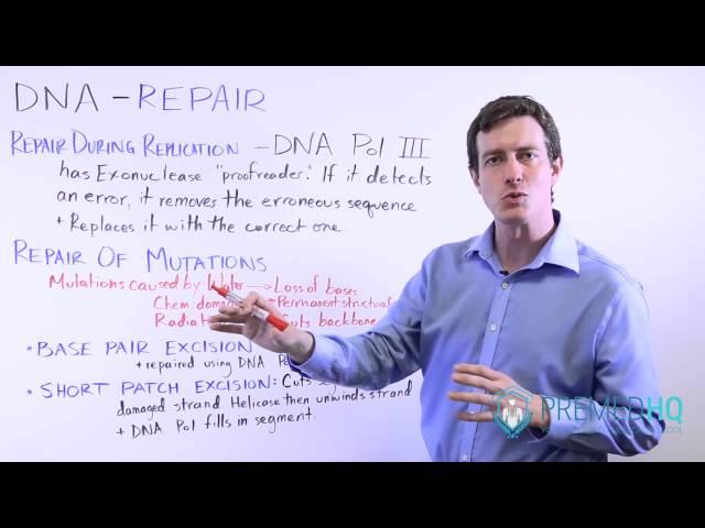 DNA Repair | How the DNA Proofreads and Repairs Damage, Types of DNA Damage