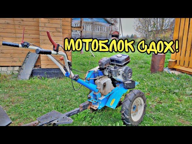 Мотоблоку пришёл конец! Чуть не заклинил движок!