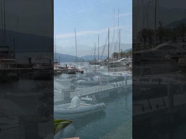 Porto Montenegro #shorts
