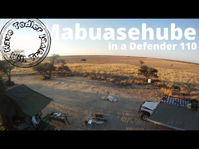 Mabuasehube Overland in a Defender 110 with a Todler, Lions, Leopards and a Jackal