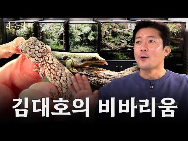 ※내셔널지오그래픽 아님... 파브르 김대호의 비바리움 보수공사 / 4춘기 EP.48
